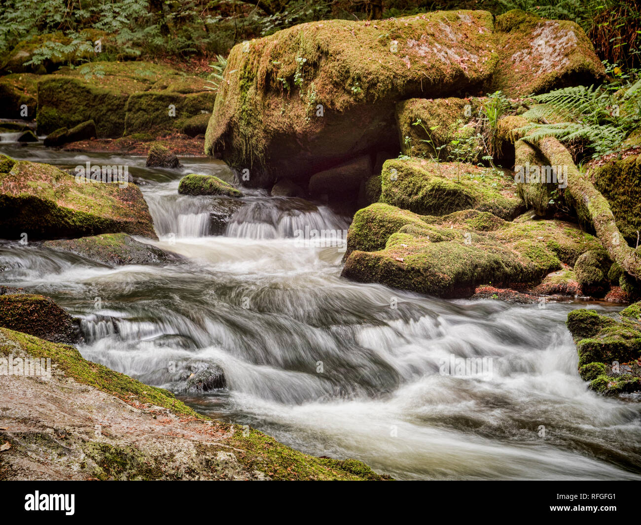 Golitha Falls, sur la rivière Fowey, près de Liskeard en Cornwall, UK. Banque D'Images