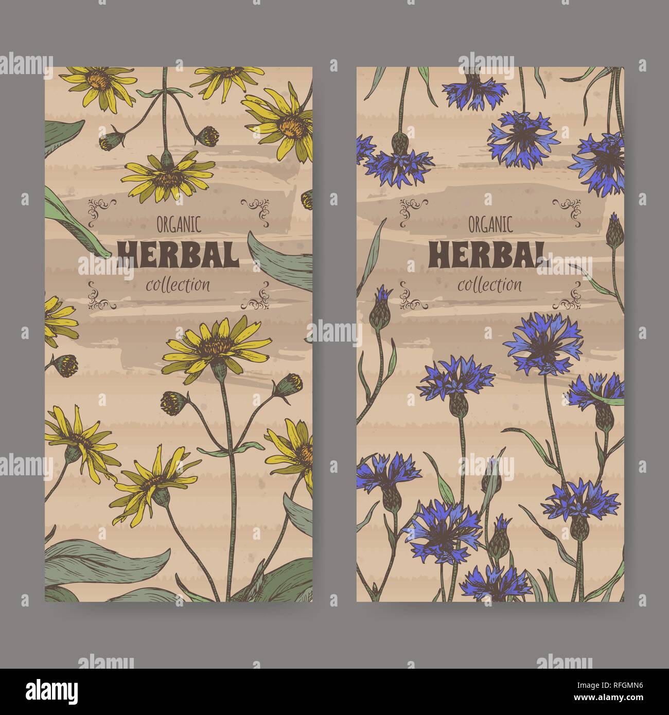 Ensemble de deux étiquettes de couleur à l'Arnica montana arnica des montagnes et de l'aka aka Centaurea cyanus bleuet ou baccalauréat en bouton. Illustration de Vecteur