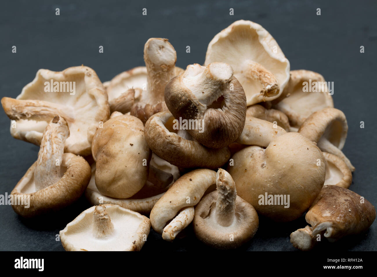 Un tas de champignons shiitake acheté dans un supermarché au Royaume-Uni sur un fond sombre, en pierre. Dorset England UK GO Banque D'Images