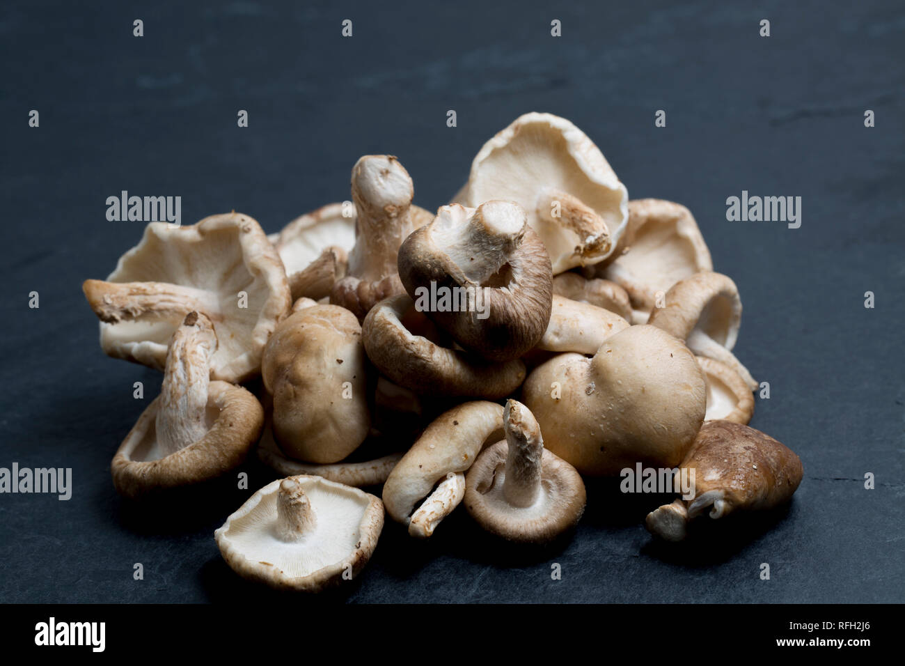 Un tas de champignons shiitake acheté dans un supermarché au Royaume-Uni sur un fond sombre, en pierre. Dorset England UK GO Banque D'Images