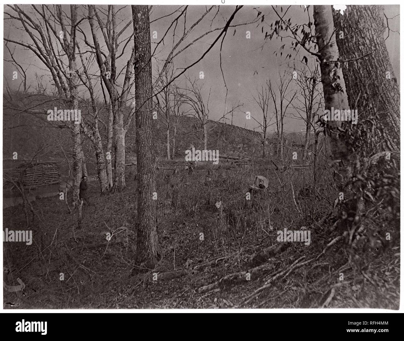 Bull Run, Virginia. Artiste : George N. Barnard (Américain, 1819-1902), Timothy H. O'Sullivan (Américain, né en Irlande, 1840-1882). Ancienne Attribution : autrefois attribués à Mathew B. Brady (Américain, né en Irlande, 1823 ?-1896) de New York. Date : 1861-1862. Musée : Metropolitan Museum of Art, New York, USA. Banque D'Images