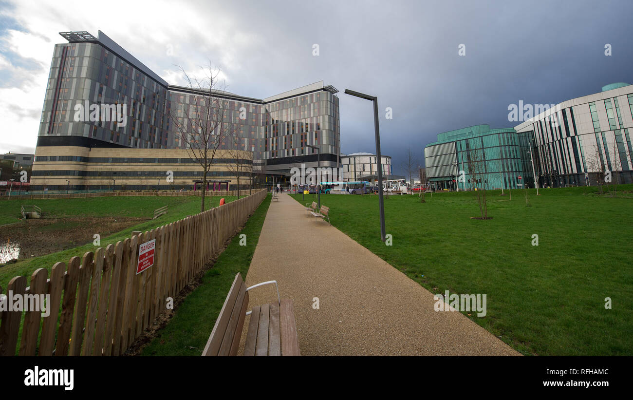 Glasgow, Ecosse, Royaume-Uni. 25 janvier 2019. Diverses scènes montrant différentes vues de autour de l'Université Queen Elizabeth Hospital. Il y a eu 2 décès de patients récemment signalé qu'il n'est cru sont liées à des infections contractées lors de la fiente de pigeon. Crédit : Colin Fisher/Alamy Live News Banque D'Images