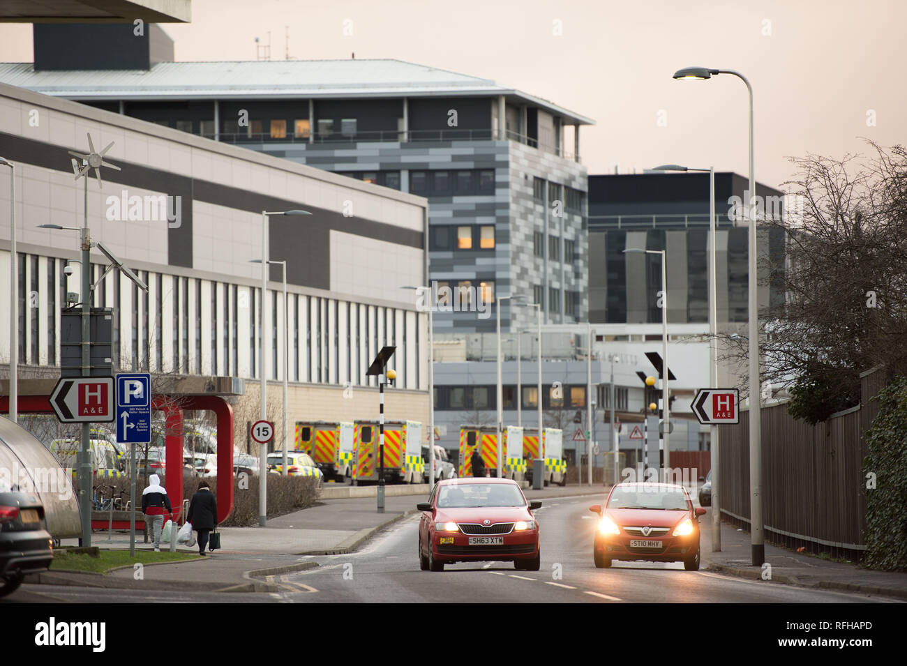 Glasgow, Ecosse, Royaume-Uni. 25 janvier 2019. Diverses scènes montrant différentes vues de autour de l'Université Queen Elizabeth Hospital. Il y a eu 2 décès de patients récemment signalé qu'il n'est cru sont liées à des infections contractées lors de la fiente de pigeon. Crédit : Colin Fisher/Alamy Live News Banque D'Images