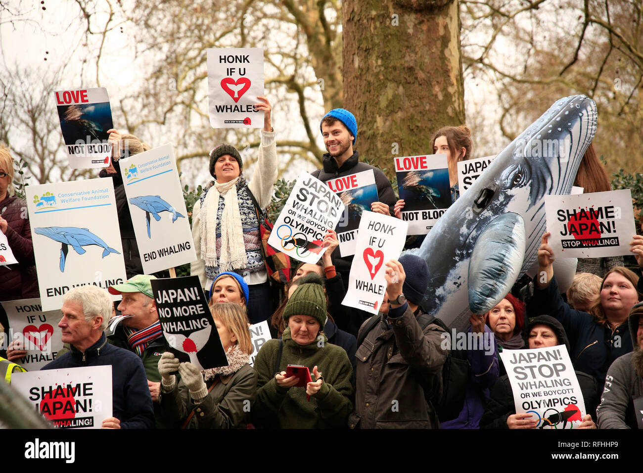 Plus de mille personnes se sont rassemblés à Cavendish Square, pour s'opposer et montrer leur indignation contre le décision de quitter la Commission baleinière internationale afin de reprendre la chasse commerciale. Stanley Johnson, Boris Johnson père et actuelle petite amie Carrie Symonds étaient également présents. La protestation ont marché vers l'ambassade du Japon, où le rallye a continué de façon pacifique. Banque D'Images