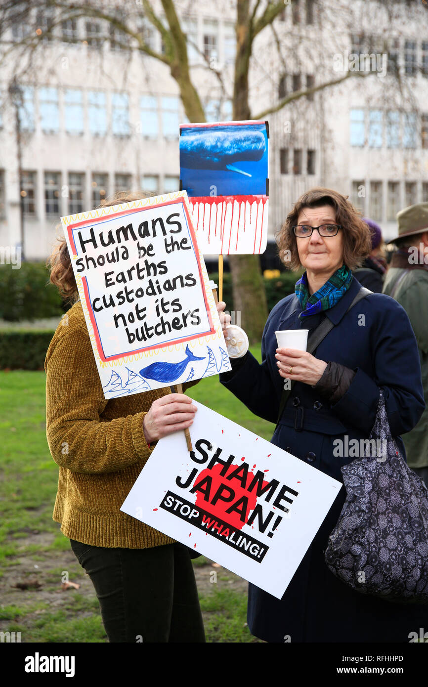 Plus de mille personnes se sont rassemblés à Cavendish Square, pour s'opposer et montrer leur indignation contre le décision de quitter la Commission baleinière internationale afin de reprendre la chasse commerciale. Stanley Johnson, Boris Johnson père et actuelle petite amie Carrie Symonds étaient également présents. La protestation ont marché vers l'ambassade du Japon, où le rallye a continué de façon pacifique. Banque D'Images