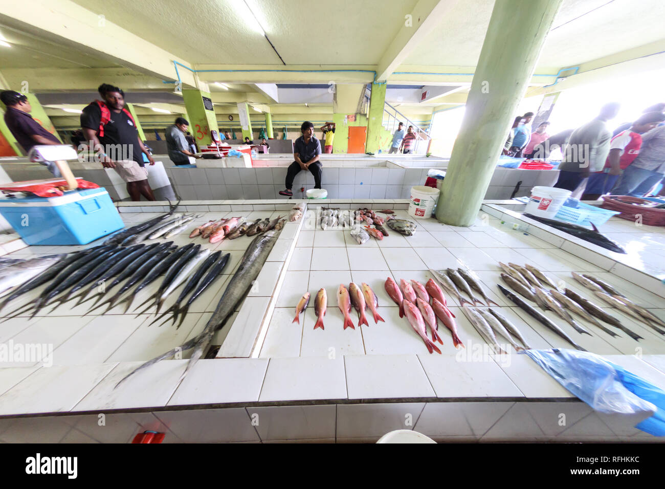 Grande variété de poissons colorés prise du jour, pour la vente au marché local à Male, Maldives Banque D'Images