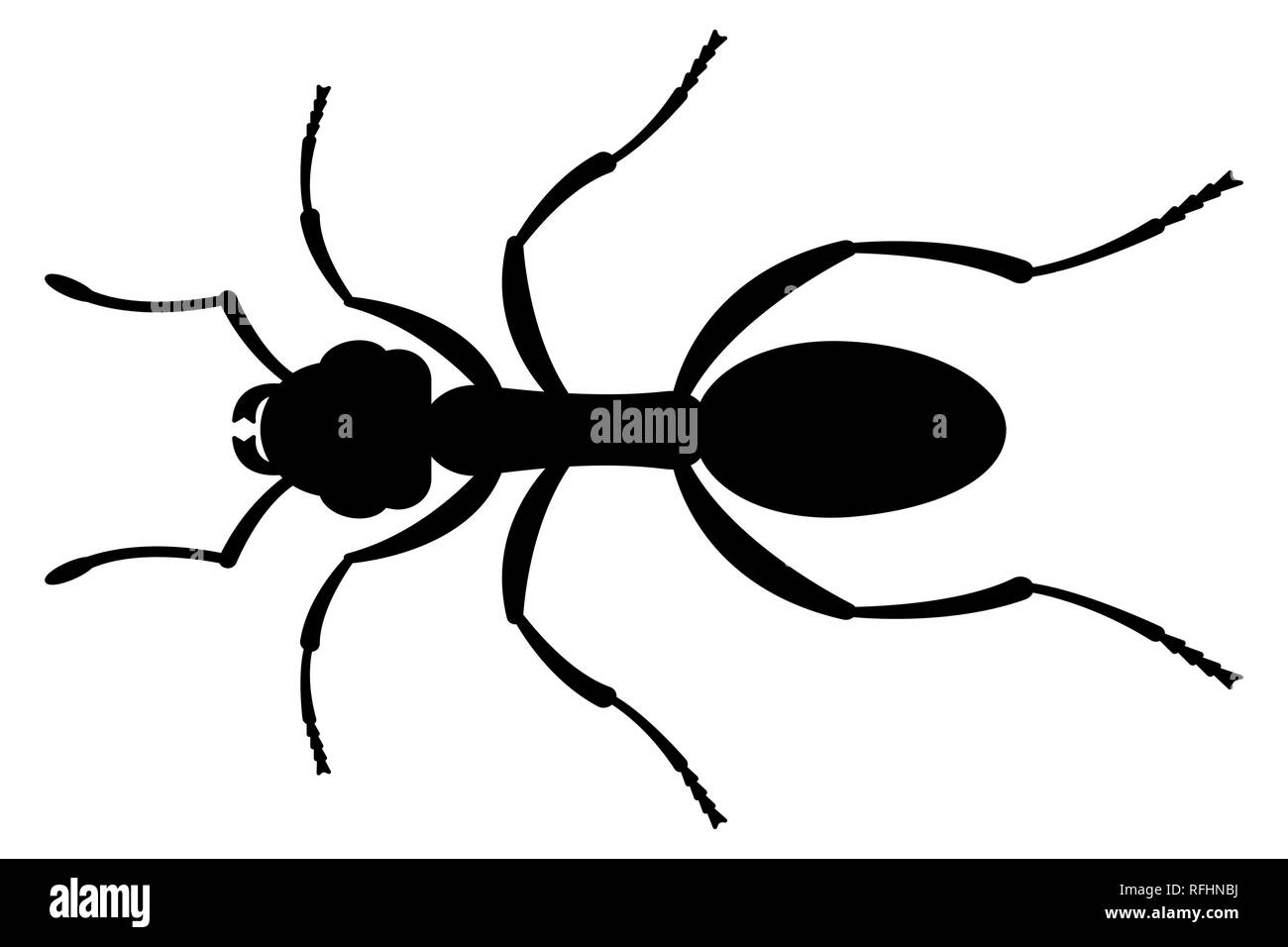 Illustration de la silhouette noire d'insectes ant Illustration de Vecteur