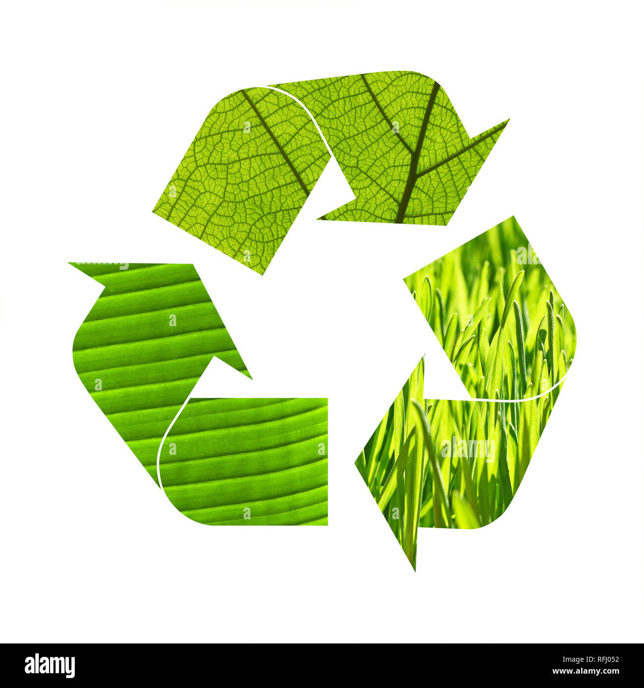 Illustration symbole de recyclage de l'herbe et les feuilles vert feuillage isolé sur fond blanc Banque D'Images