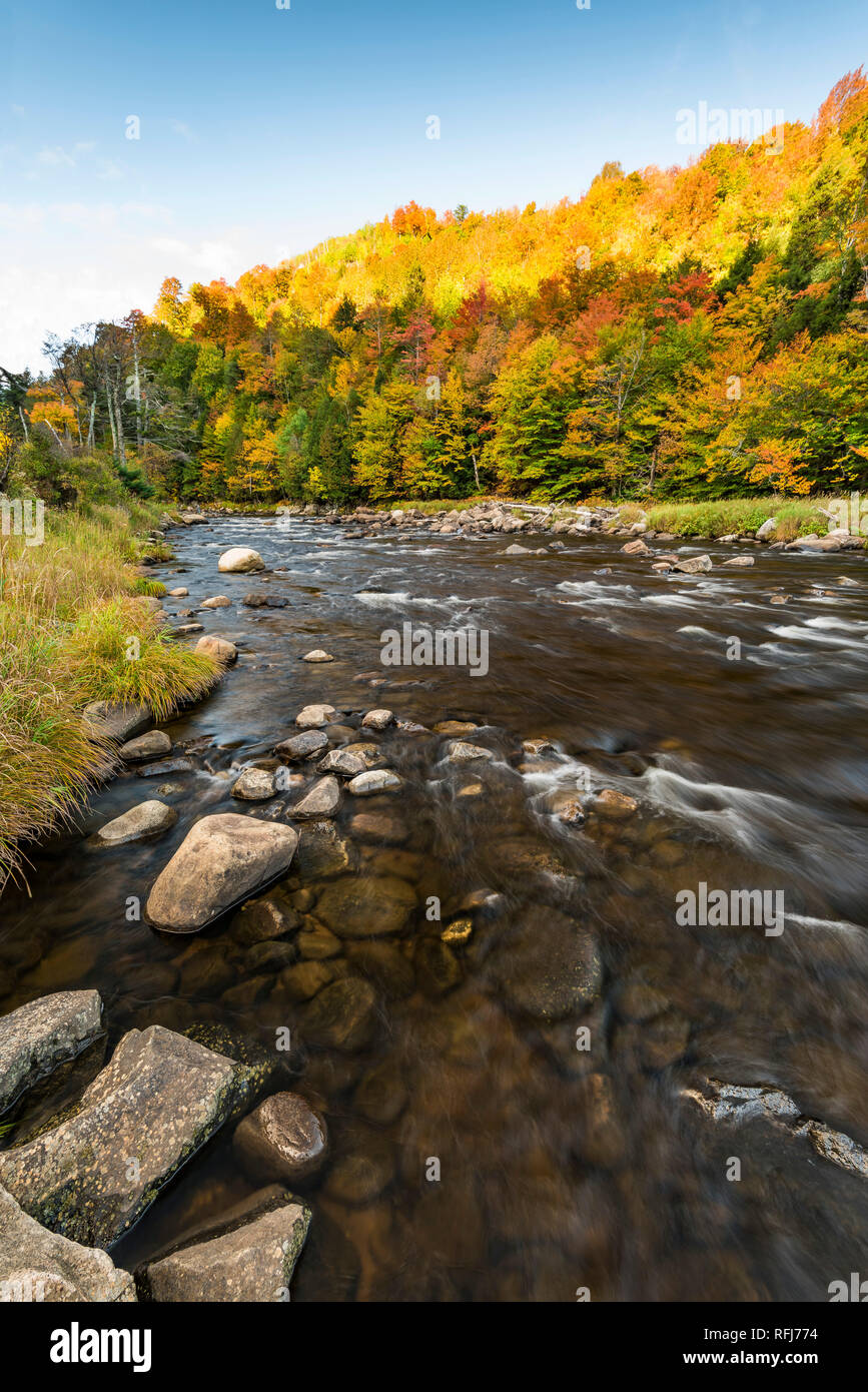 La Direction générale de l'ouest de la rivière Ausable en automne, des montagnes Adirondack, Essex Co., NY Banque D'Images