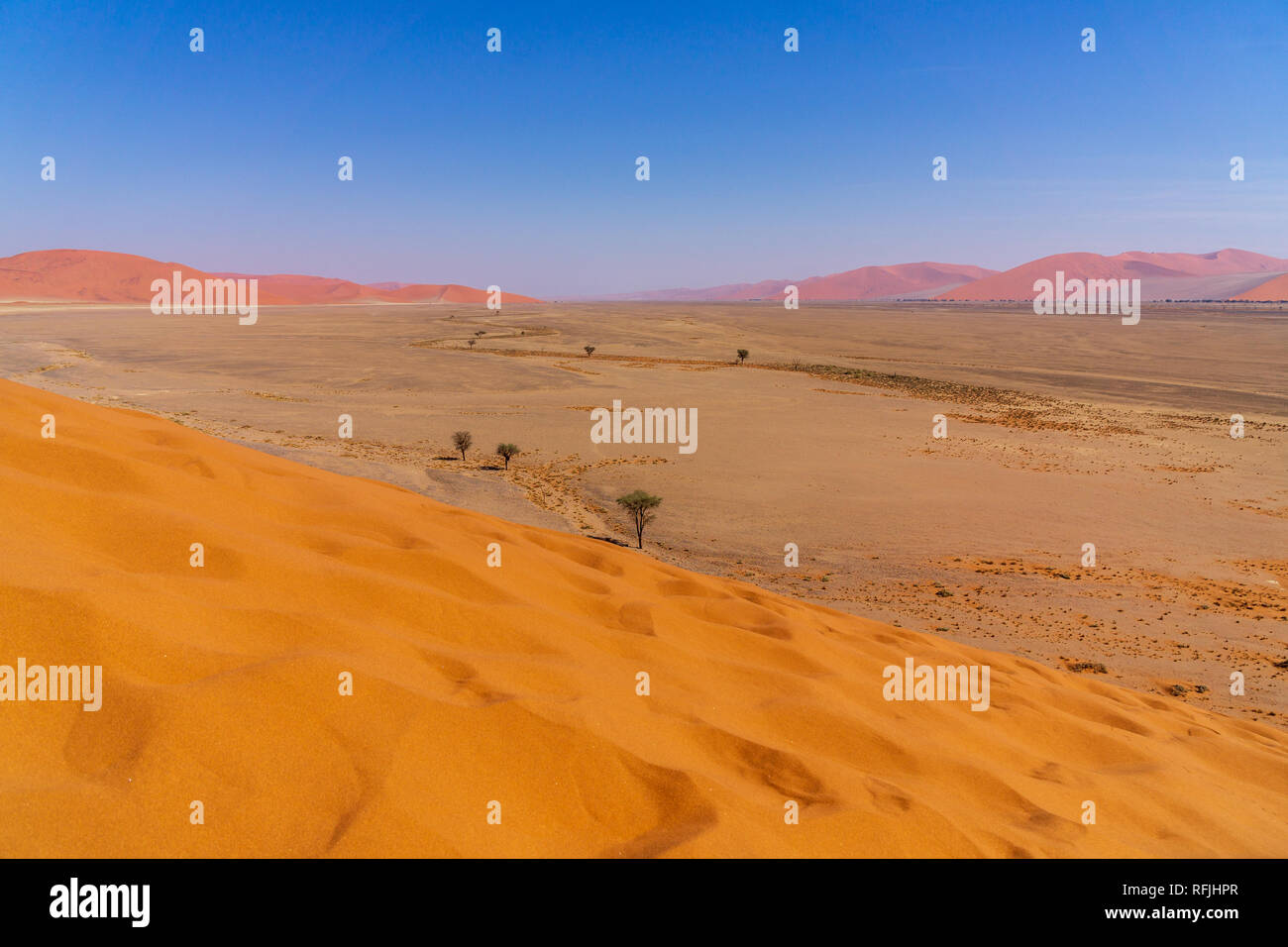 Vue aérienne des dunes rouges du désert de Namib situé dans le Parc National de Namibie Namib Naukluft Banque D'Images