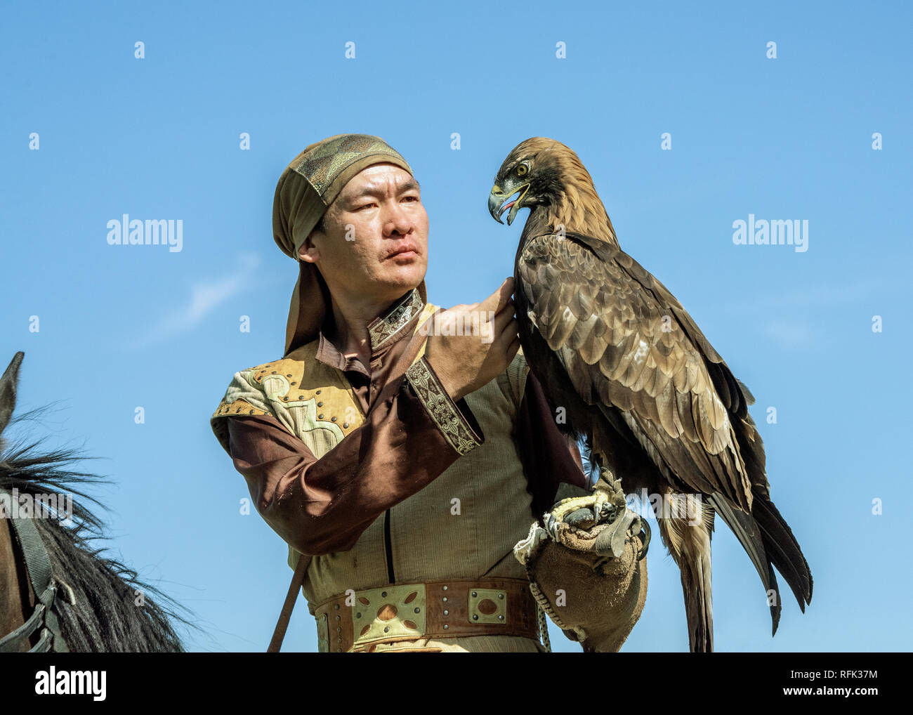 Eagle kazakhs trainer des liens avec son aigle, Sunkar Centre Falcon, Almaty, Kazakhstan Banque D'Images