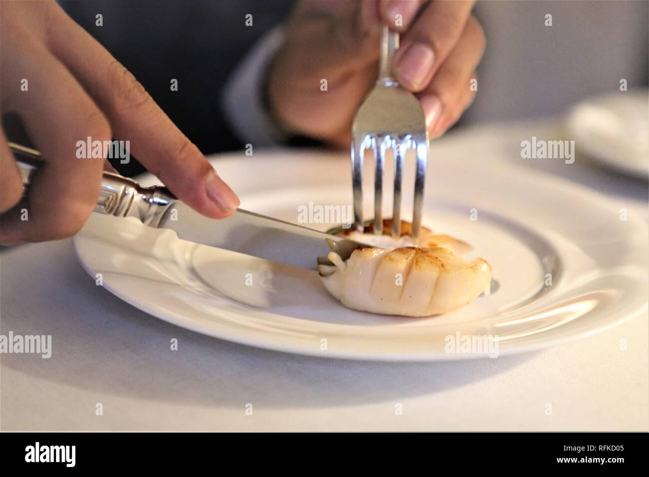 Les pétoncles de l'alimentation Banque D'Images