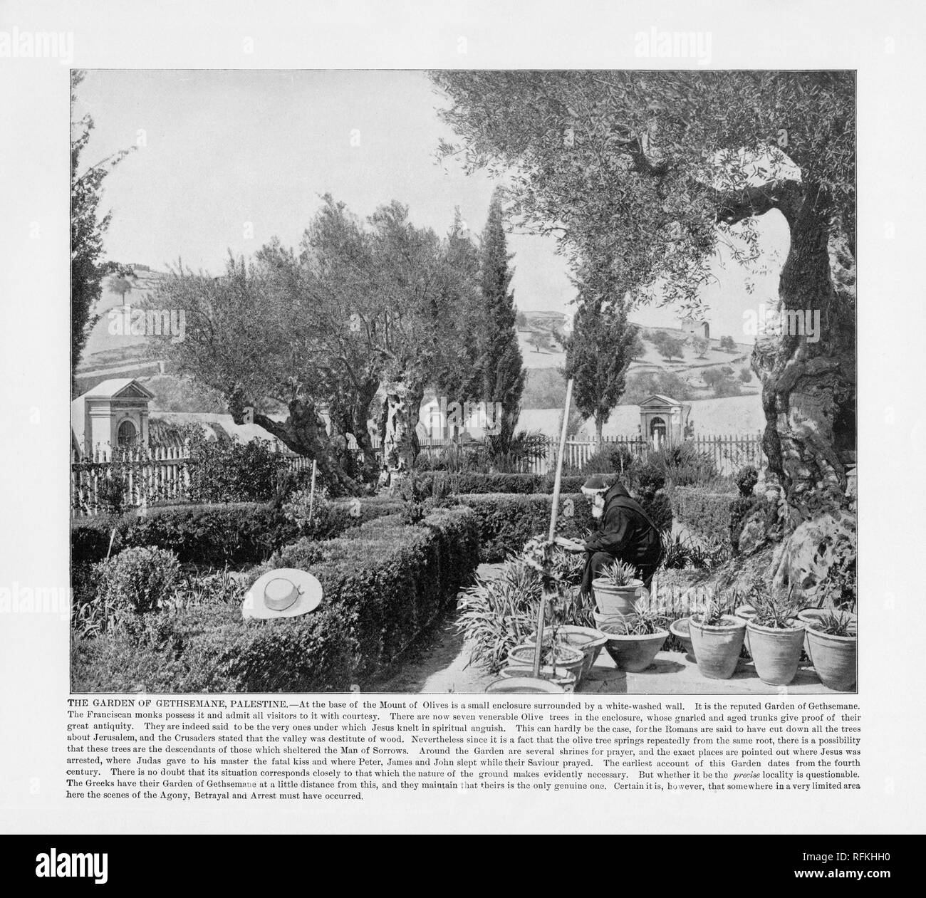 Le Jardin de Gethsémané, la Palestine, la Palestine antique Photographie, 1893 Banque D'Images
