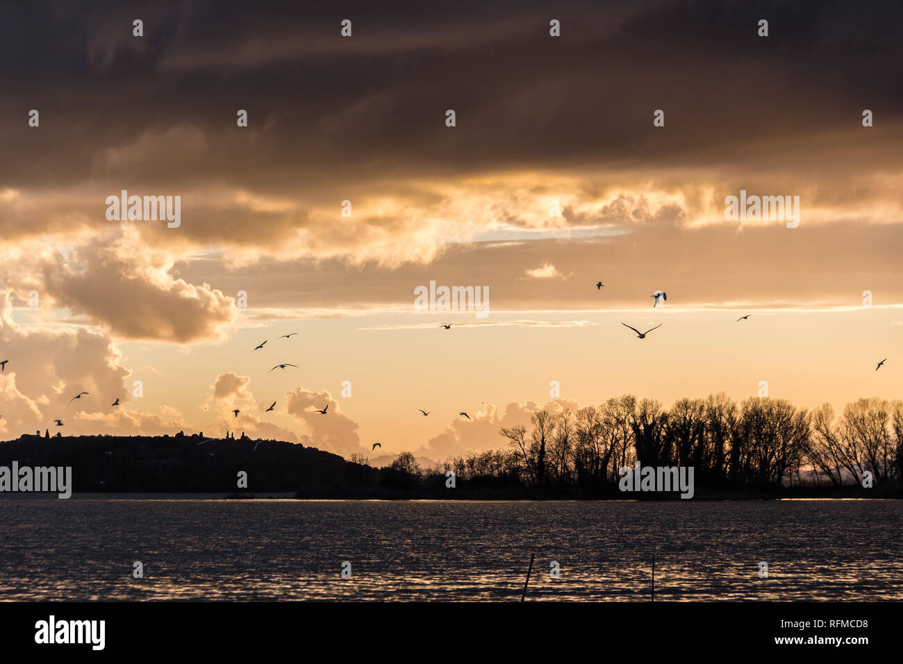 Oiseaux volant au-dessus du lac Trasimeno, avec des couleurs au coucher du soleil Banque D'Images