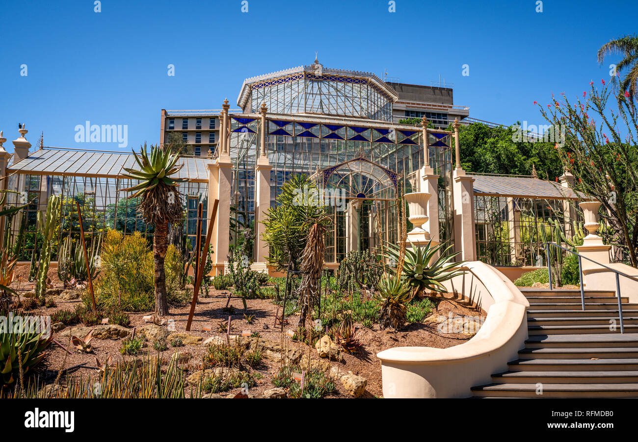 Jardin botanique d'Adélaïde 1877 palm house vue extérieure une serre victorienne en Australie Adelaide SA Banque D'Images
