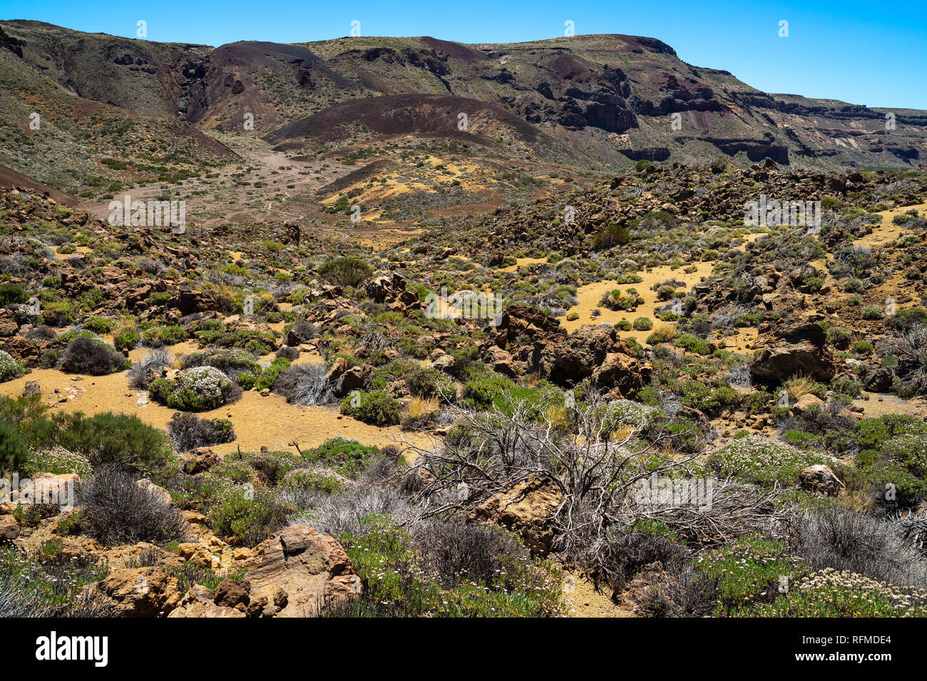 Les champs de lave de la caldera de Las Canadas du volcan Teide. Point de vue : Minas de San Jose. Tenerife. Îles Canaries. L'Espagne. Banque D'Images