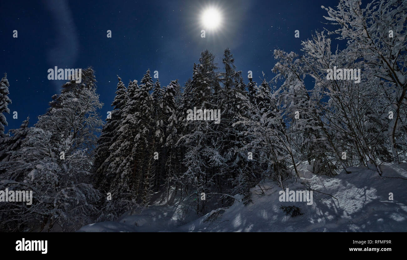 Pleine lune conte de nuit d'hiver Banque D'Images