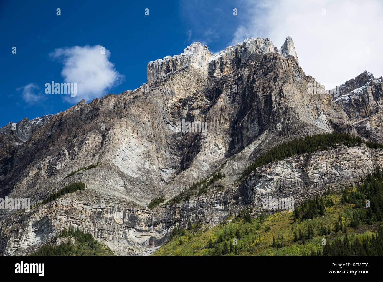 Les montagnes Rocheuses canadiennes à partir de la promenade des Glaciers Banque D'Images