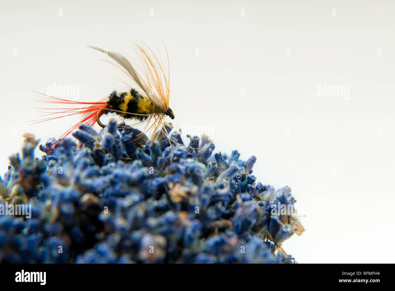 Pêche à la mouche, la mouche à la truite ou l'imitation d'abeilles saumon sur fond blanc Banque D'Images