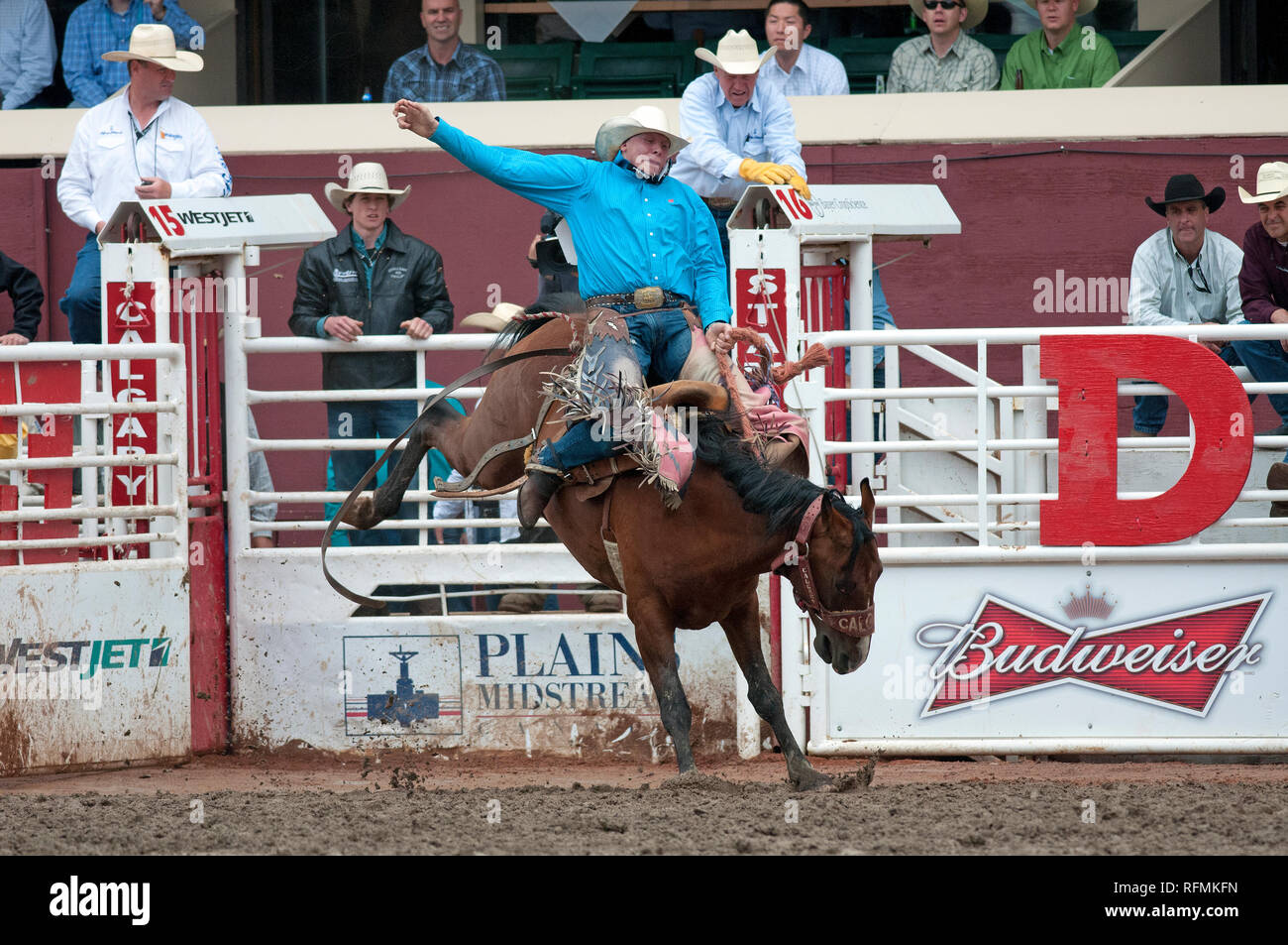 Saddle bronc race au Stampede de Calgary, Calgary, Alberta, Canada Banque D'Images