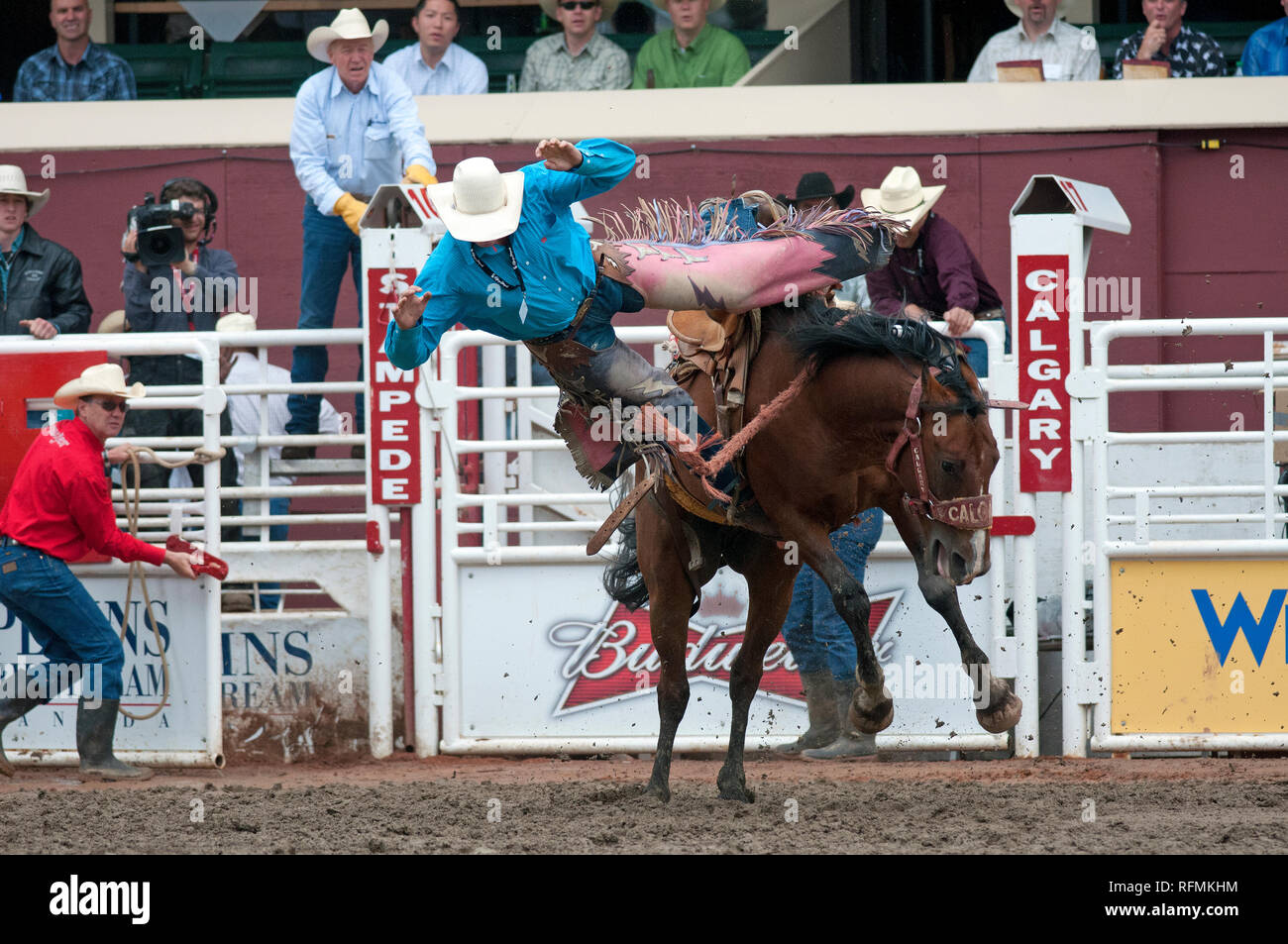Saddle bronc race au Stampede de Calgary, Calgary, Alberta, Canada Banque D'Images