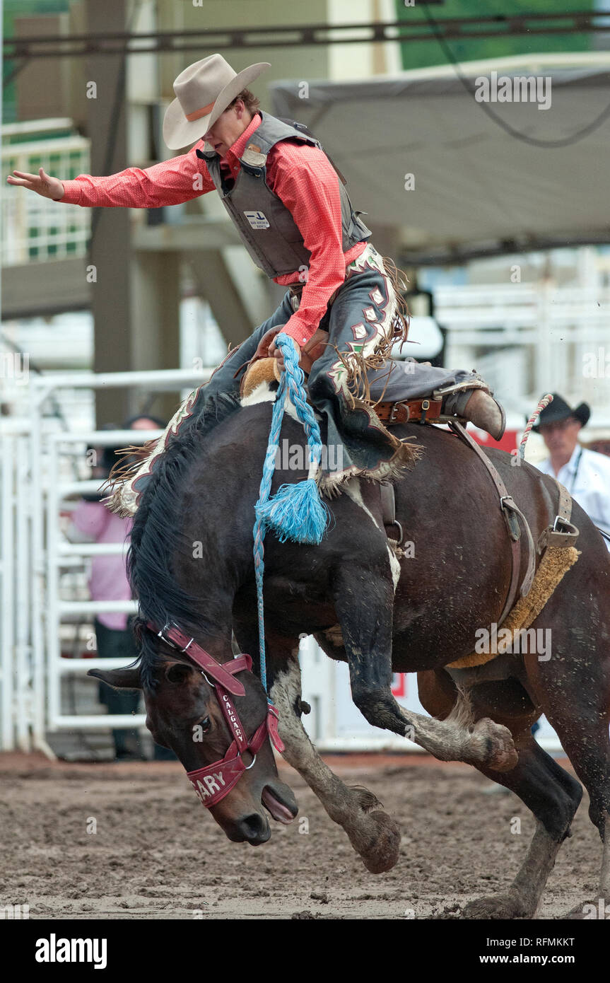 Saddle bronc race au Stampede de Calgary, Calgary, Alberta, Canada Banque D'Images