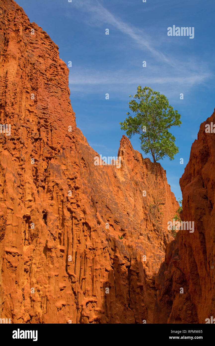 La Lai Bong Suoi Tre ou canyons rouge près de Mui Ne dans le centre sud de la province de Bình Thuân, Vietnam Banque D'Images