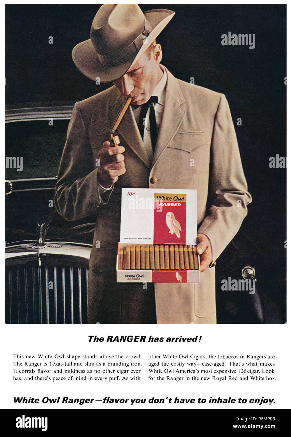 1965 publicité américaine pour la chouette blanche Ranger les cigares. Banque D'Images