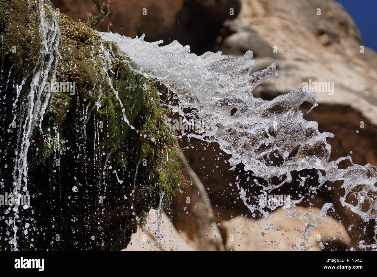 Sitting Bull Falls est une série de chutes d'eau dans un canyon dans la forêt nationale de Lincoln au sud-ouest de la ville de Carlsbad, Nouveau Mexique Banque D'Images