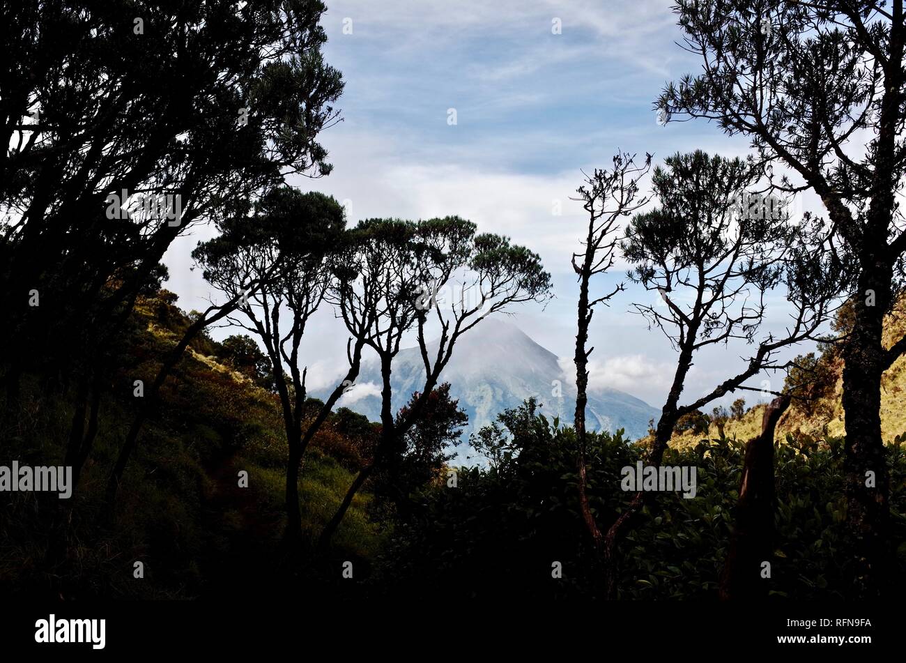 Sommet double sur le Mont Merapi Merbabu et monter l'expérience Banque D'Images