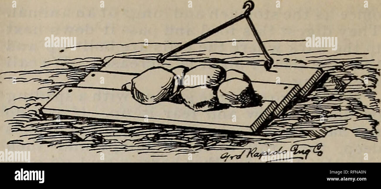 . R.M. Kellogg's grande cultures de petits fruits : et comment il se développe. Pépinières (Horticulture) Michigan Ionia ; Catalogues Catalogues plants de fruits. L'Lovett. Le cultivateur doit seulement aller suffisamment profond pour maintenir la poussière ou de la terre meuble du paillis, rarement plus de deux pouces doivent être présents et souvent un pouce est mieux, selon la texture du sol. Le rouleau. Vous ne parvenez pas à mettre en place un terrain sans rouleau ou d'un flotteur. Le Plough and Harrow quitte le sol et lâche de possession n'est pas suffisante pour exclure l'air libre, et l'action capillaire n'apporteront pas l'eau en haut. Un flotteur. à partir de ci-dessous. Le parti Banque D'Images