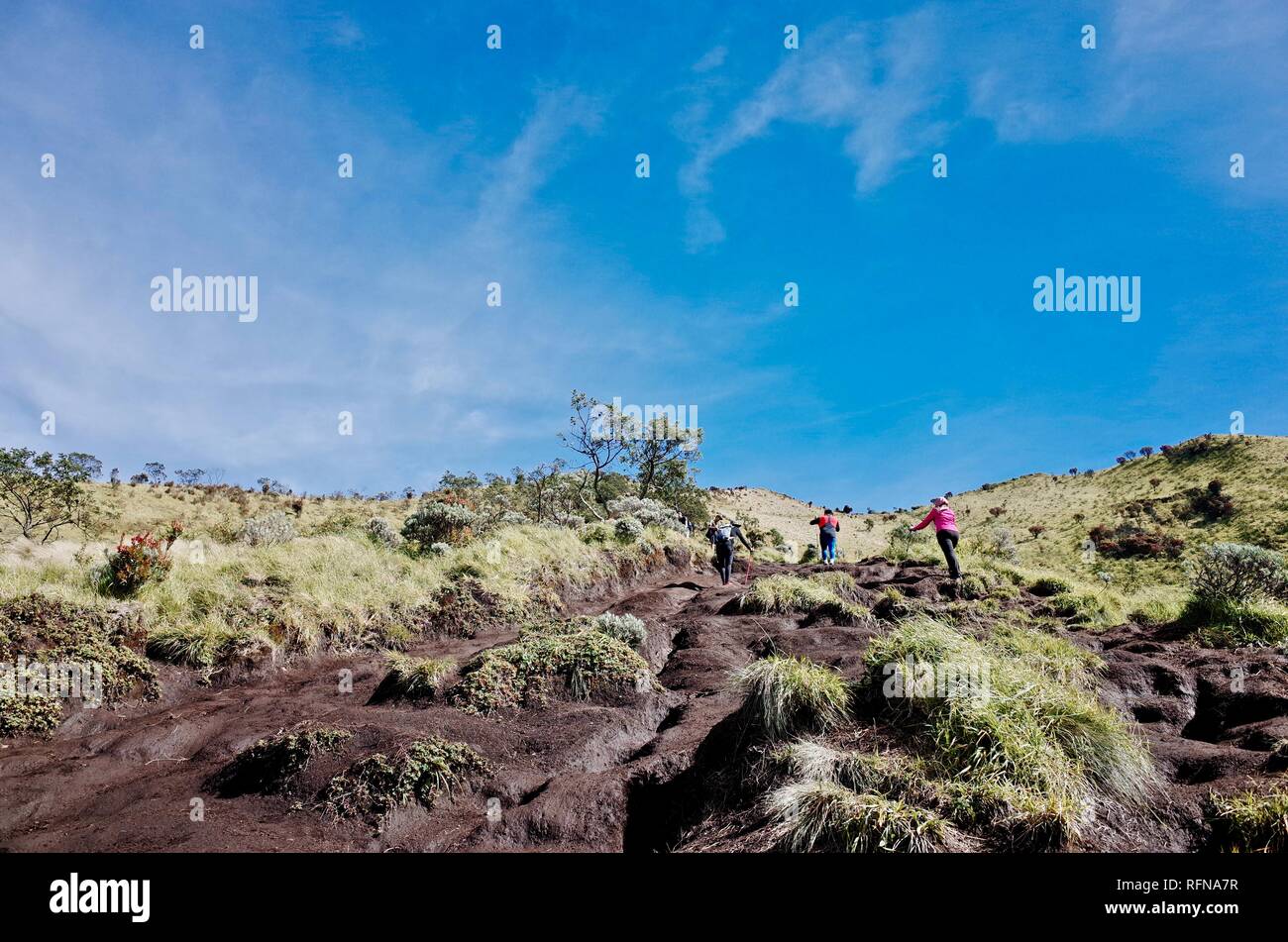 Sommet double sur le Mont Merapi Merbabu et monter l'expérience Banque D'Images