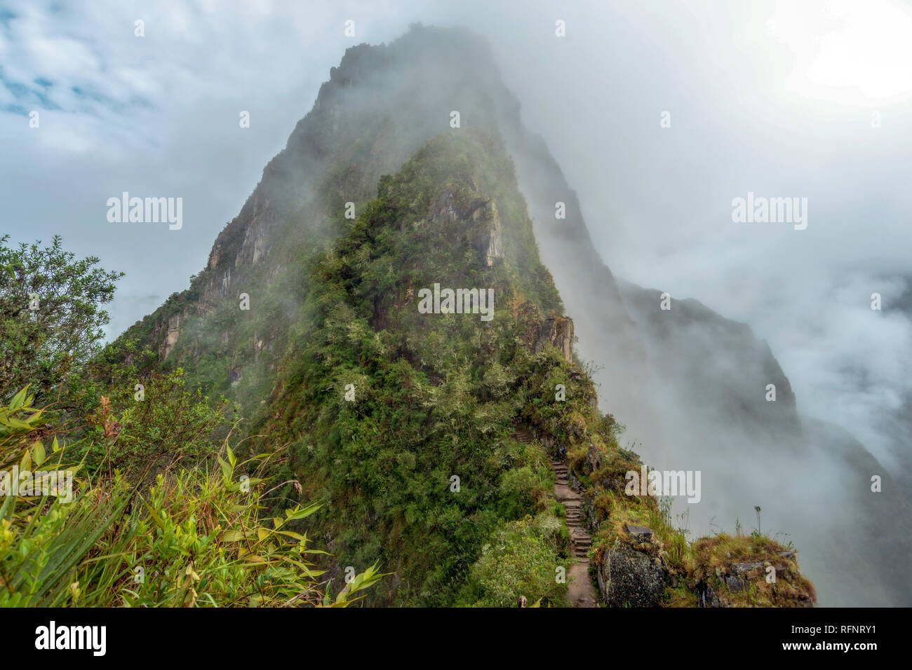 Matin brumeux paysage à Huayana Picchu randonnée au Pérou Banque D'Images
