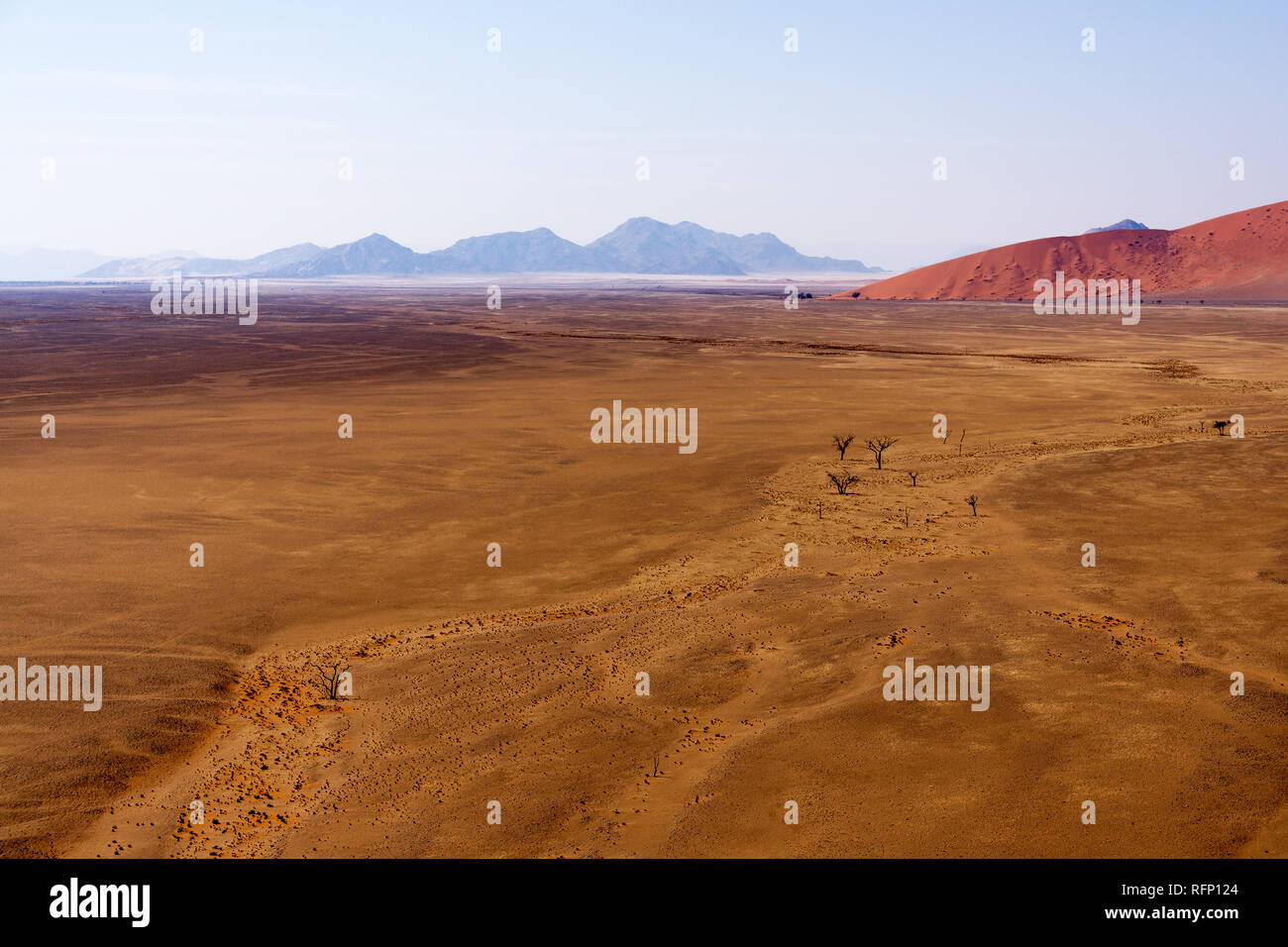 Dunes à soussuvlei desert en Namibie à l'été Banque D'Images