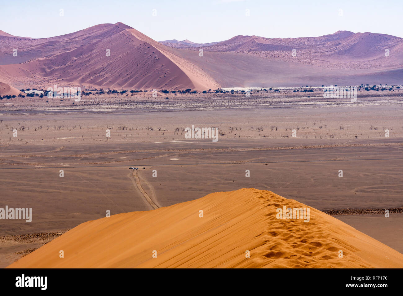 Vue du haut de la dune 45 vers le début de la randonnée, Sossusvlei, Namibie à l'été Banque D'Images