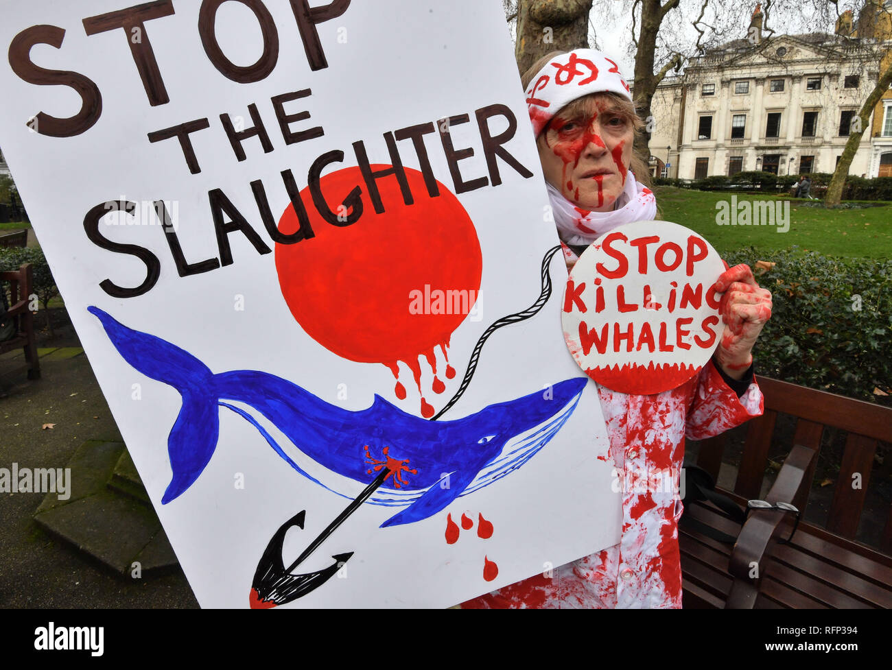 Dawn Smith activiste prend part à une manifestation anti-chasse à l'extérieur de l'ambassade du Japon, au centre de Londres. Banque D'Images