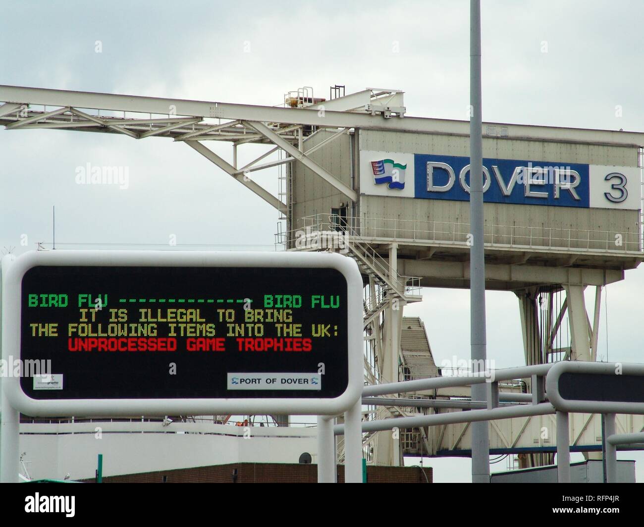 Avis de grippe d'oiseau, le terminal des ferries Douvres, Grande-Bretagne Banque D'Images