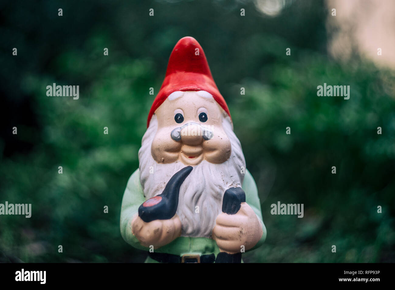 Un joli portrait de jardin Banque D'Images