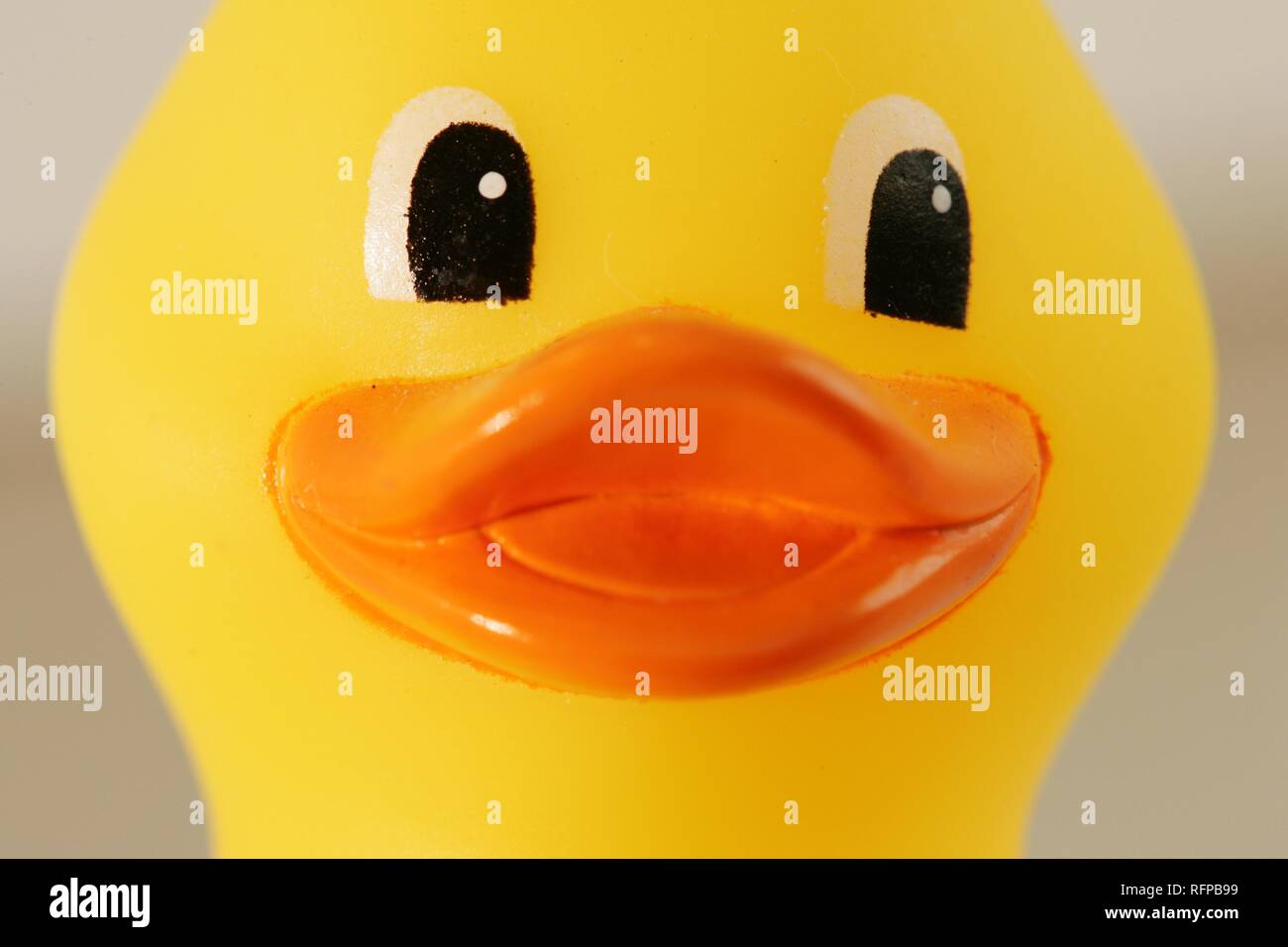 DEU, Allemagne : Yellow rubber duck . Banque D'Images