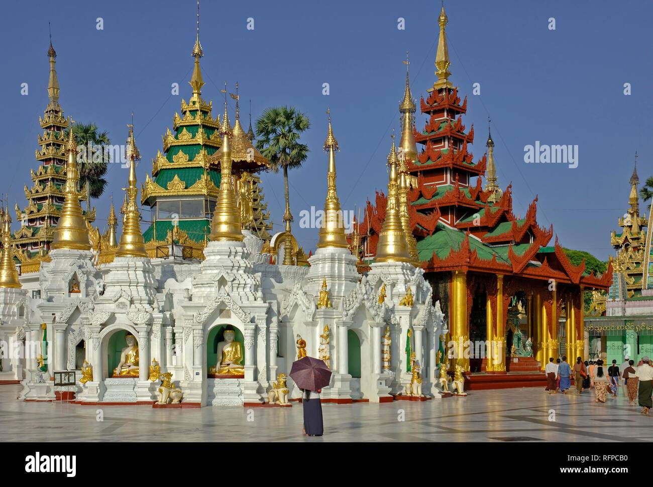 Le Myanmar, Birmanie, la pagode Shwedagon à Rangoon (Myanmar) Banque D'Images
