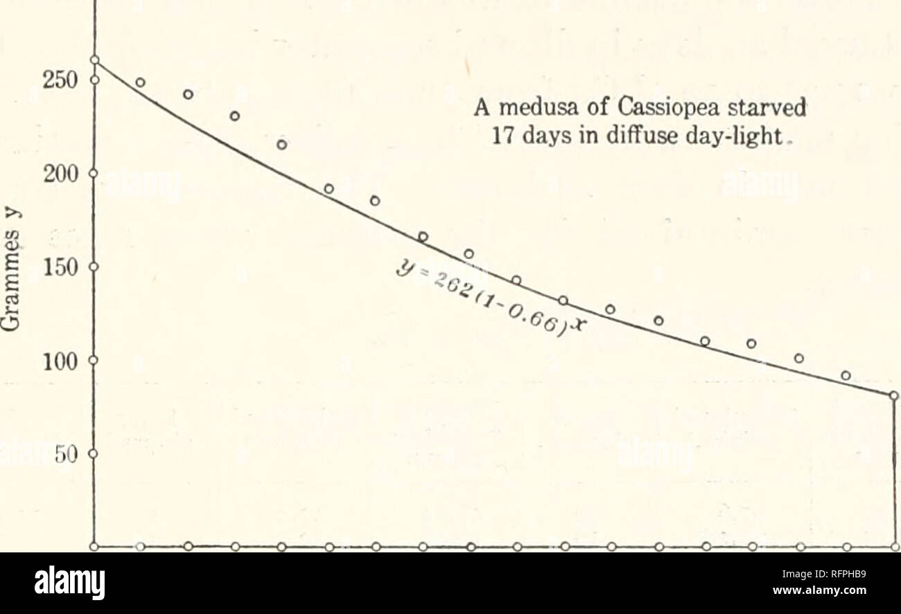 . Carnegie Institution of Washington publication. Loi régissant la perte de poids en Cassiopea affamés. 69 300 ? Une méduse de Cassiopea affamé 17 jours en lumière du jour diffuse.. 0 1 2 3 4 5 6 7 8 9 10 11 12 13 14 15 16 17 jours X Diagramme illustrant le tableau 8. Le tableau 9 montre la diminution de poids de deux méduses Cassiopea xamachana normale de 25 jours de faim dans l'heure, diffus dans l'eau de mer filtrée, à 27.5Â° à 30Â° C, du 28 juin au 23 juillet 1912, à Tortugas, en Floride. Les méduses ont été placés dans un aquarium en verre holding 6 litres, l'eau est changée une fois par 24 heures. Tableau 9. 55 50 45 j j&gt Banque D'Images