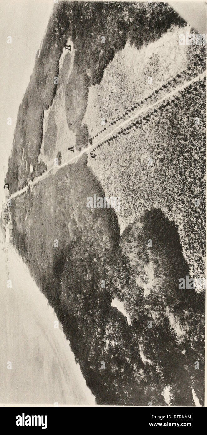 Carnegie Institution Of Washington Publication 7 Plaque De Bartsch C 3 A Gt E C O O 5 Oh S Jo 3 Rt Dans Rt Ffi 13