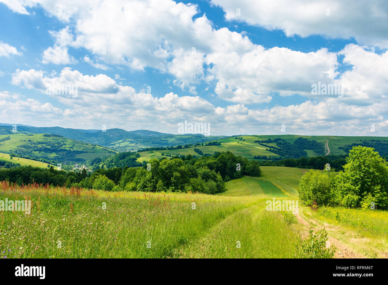 Chemin à travers de magnifiques paysages d'été. pré herbeux parmi la forêt. Les arbres le long de la route. merveilleuse nature paysage de Carpathian Banque D'Images