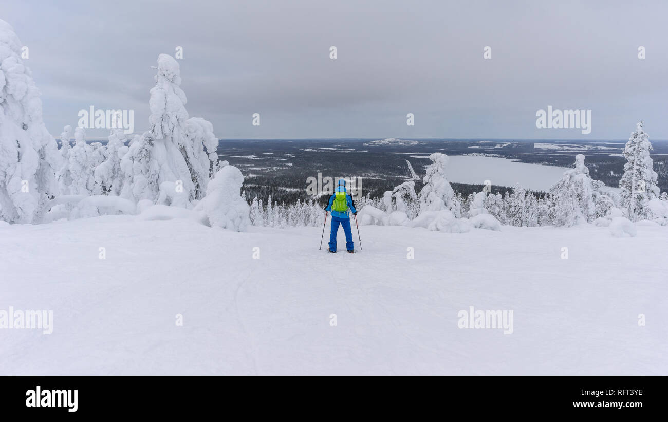 Randonneur sur raquettes entre les arbres gelés près de Pyha en Laponie, Finlande Banque D'Images