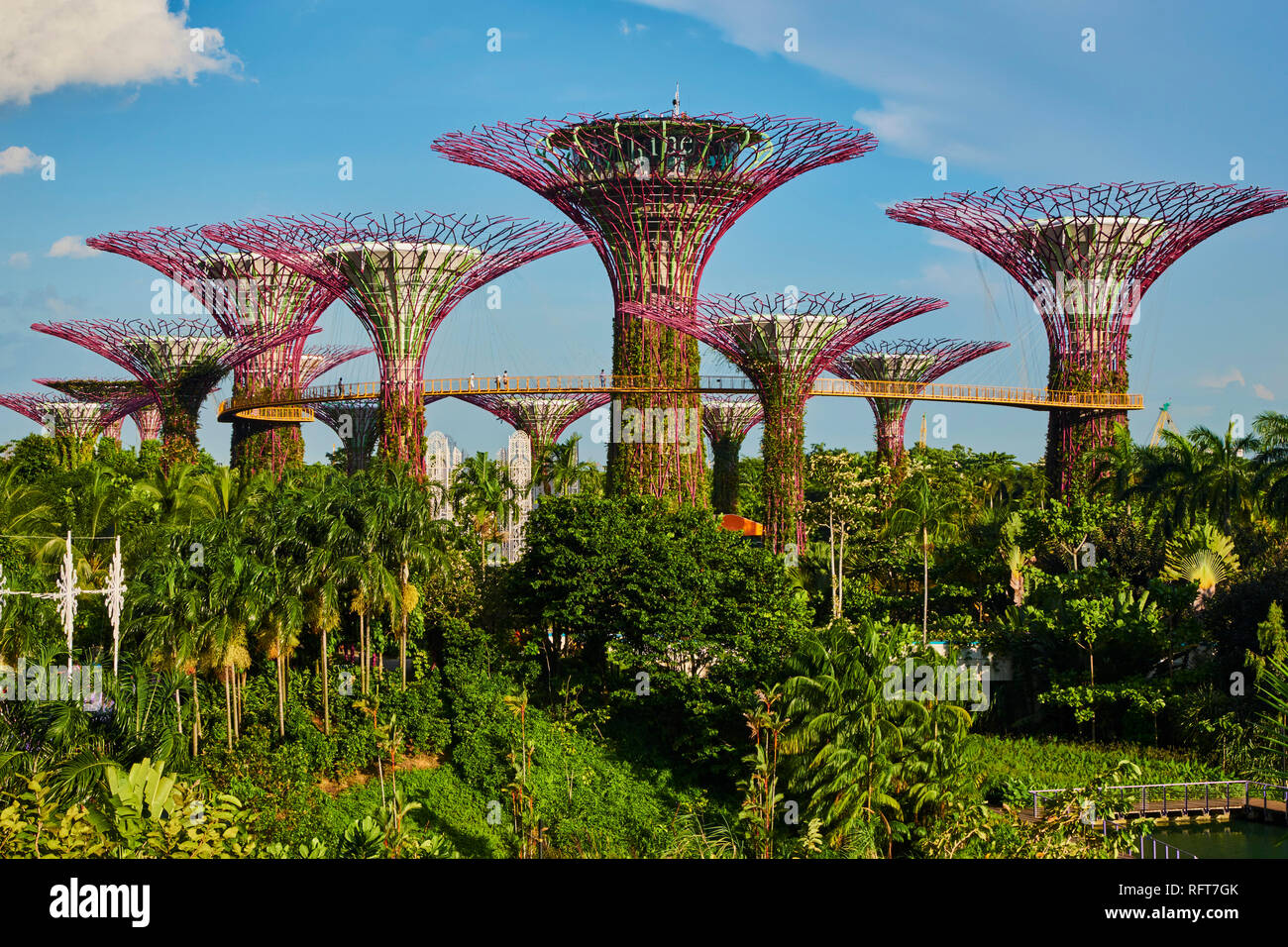 Supertree Grove, jardin par la baie, jardin botanique, Marina Bay, à Singapour, en Asie du Sud-Est, l'Asie Banque D'Images
