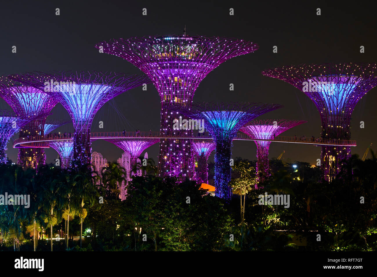 Supertree Grove at night, jardin par la baie, jardin botanique, Marina Bay, à Singapour, en Asie du Sud-Est, l'Asie Banque D'Images