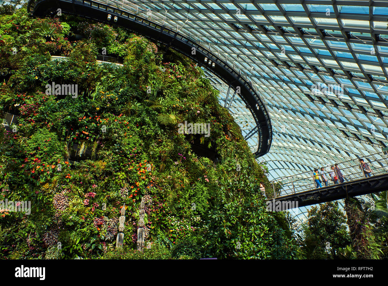 Jardin de la baie, Cloud Forest, jardin botanique, la plus haute cascade artificielle au monde, Marina Bay, à Singapour, en Asie du Sud-Est, l'Asie Banque D'Images