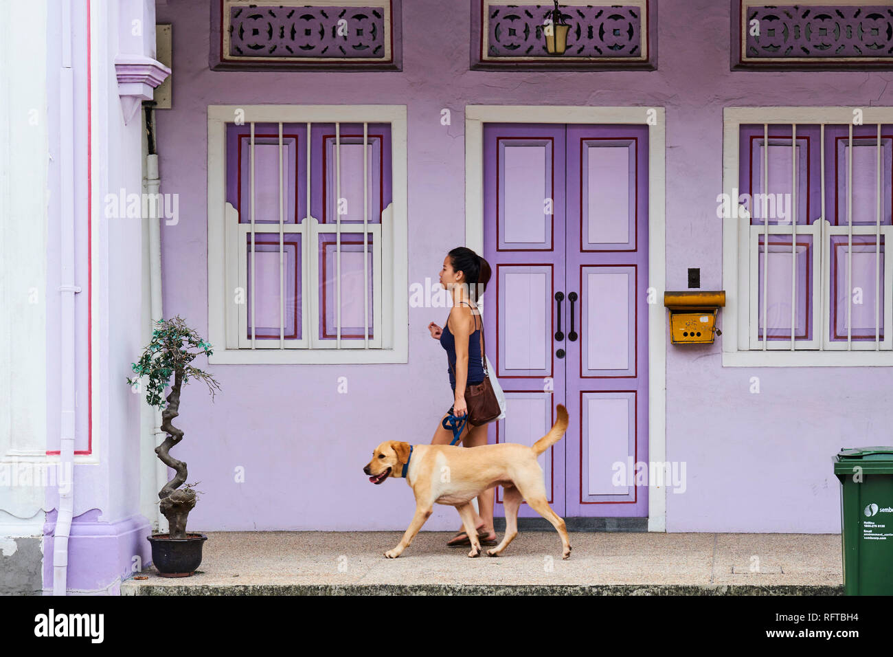 Maisons Peranakan District en Euros à l'est de la ville, à Singapour, en Asie du Sud-Est, l'Asie Banque D'Images