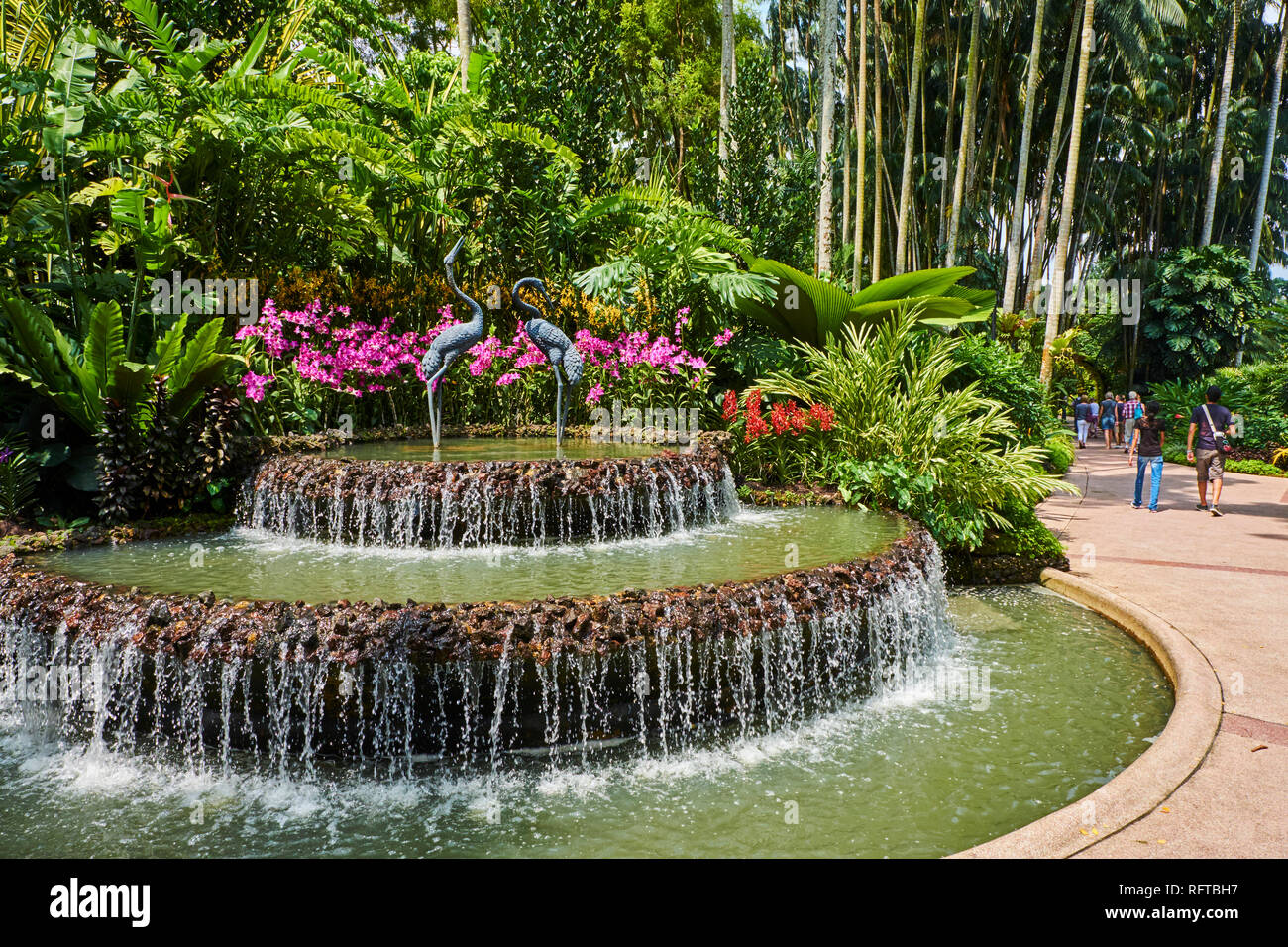 Jardin d'orchidées, National Botanic Garden, Site du patrimoine mondial de l'UNESCO, à Singapour, en Asie du Sud-Est, l'Asie Banque D'Images