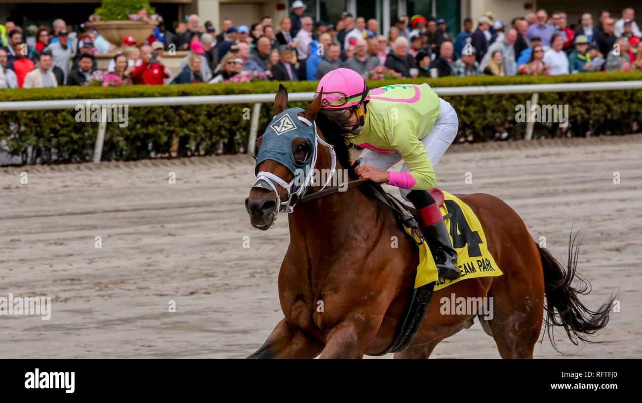 En Floride, aux États-Unis. 26 janvier 2019.World de trouble, # 4, monté par jockey Irad Ortiz, Jr., gagne une course de voitures sous la coupe du monde à Pegasus le 26 janvier 2019 à Gulfstream Park à Hallandale Beach, Floride. Liz Lamont/Eclipse Sportswire/CSM/Alamy Live News Banque D'Images